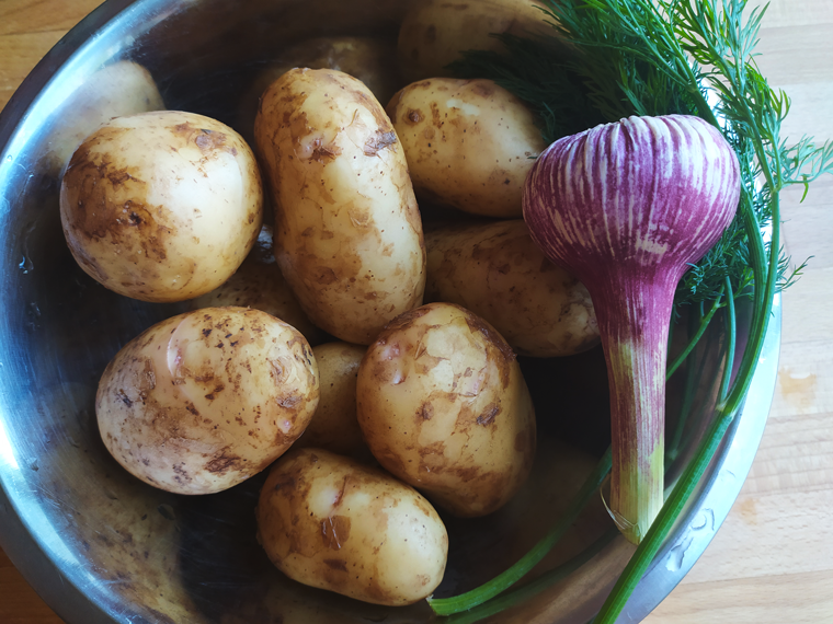 Блюда из картошки простые и вкусные рецепты, готовим картофель быстро и вкусно – Едим Дома